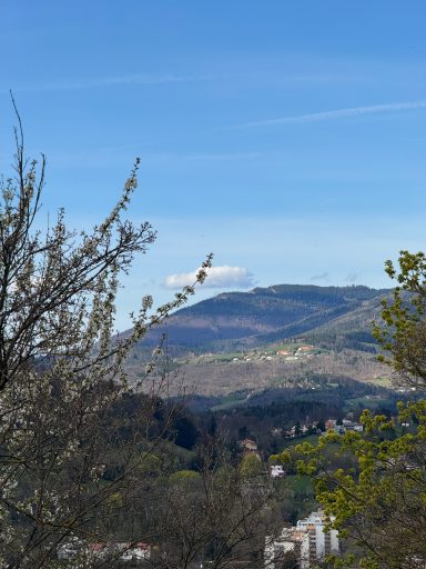 Ausblick Schlossberg