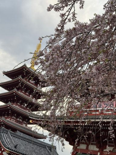 Senso-ji Senso-ji