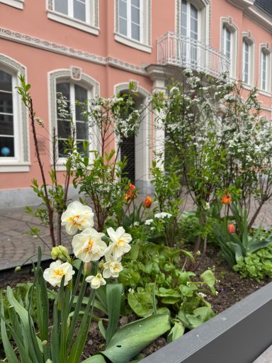 Innenstadt Innenstadt