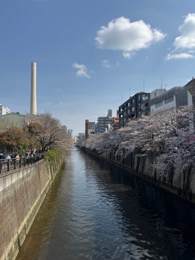 Meguro River Meguro River