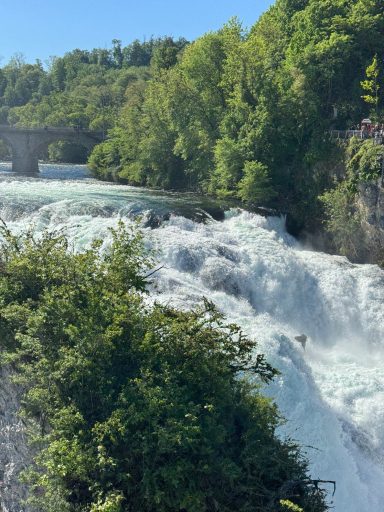 Rheinfall