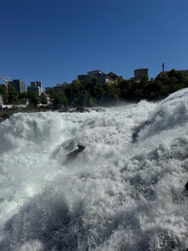 Rheinfall
