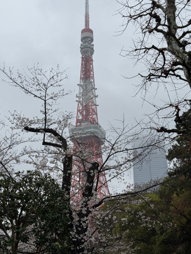 Tokyo Tower Tokyo Tower