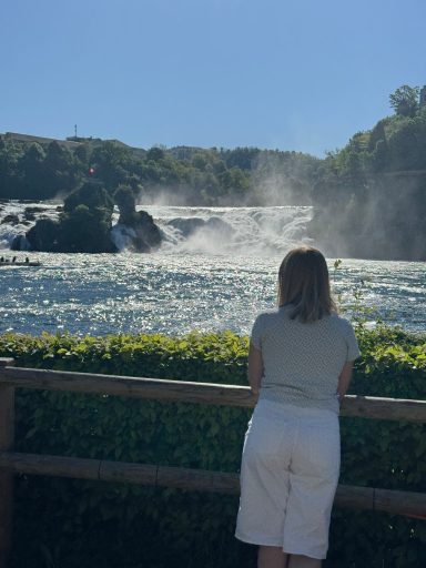 Kostenlose Aussicht Rheinfall