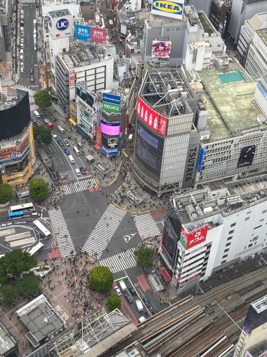 Shibuya Crossing Shibuya Crossing