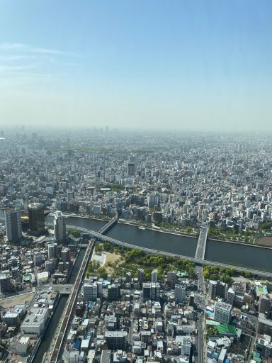 Skytree Skytree