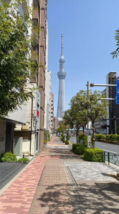 Skytree Skytree