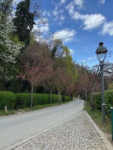 Schlossberg