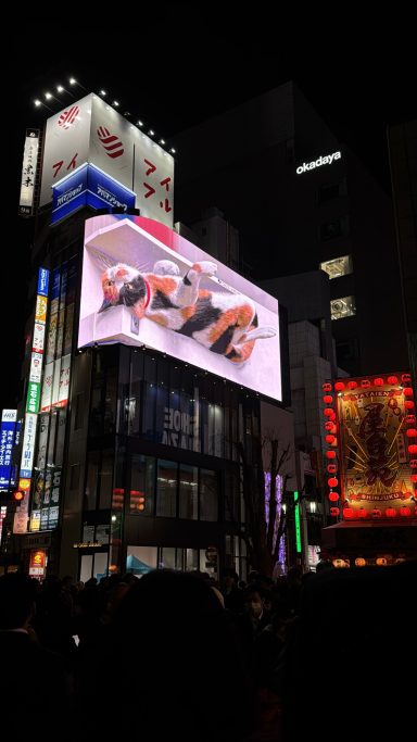 3D Screen