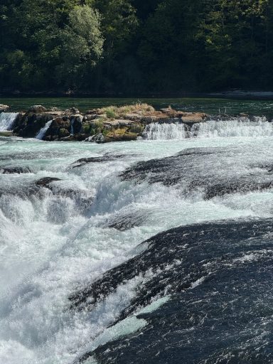 Rheinfall
