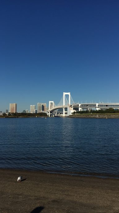 Rainbow Bridge Tokyo Bay Rainbow Bridge