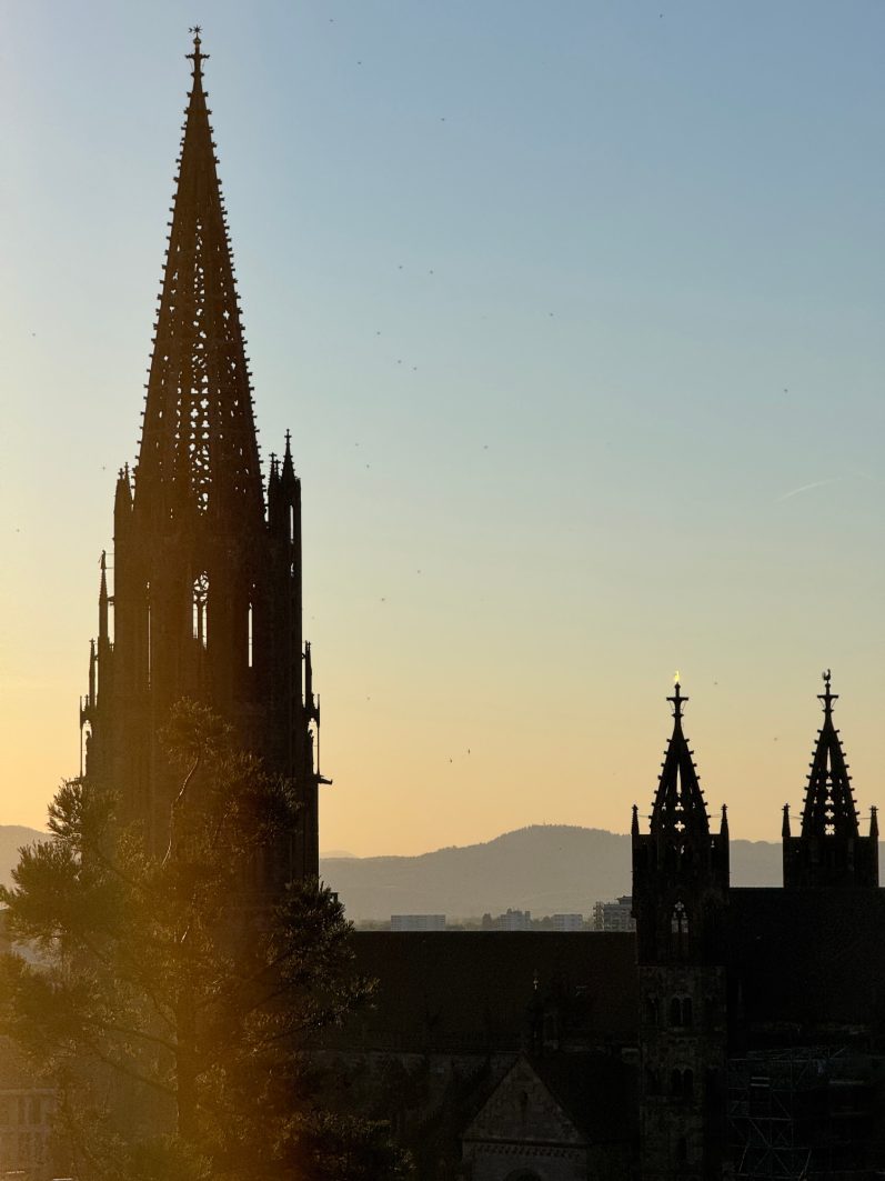 Schlossberg Freiburg im Breisgau