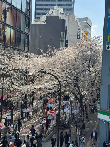 Shibuya Sakurazaka Shibuya