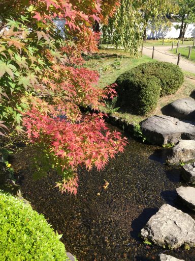 Herbst Herbst