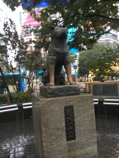 Hachiko Hachiko