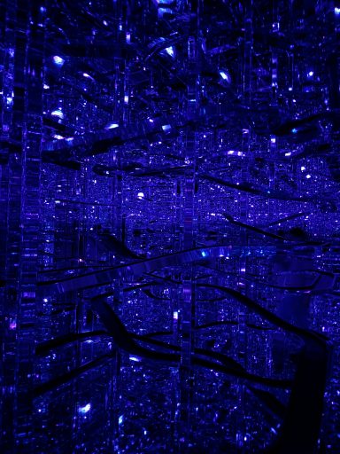 teamLab B. teamLab Borderless