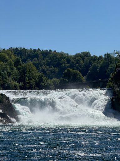 Aussicht vom Boot Rheinfall