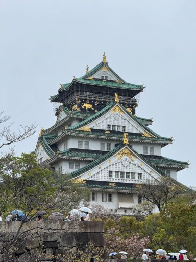 Osaka Caslte Osaka Castle