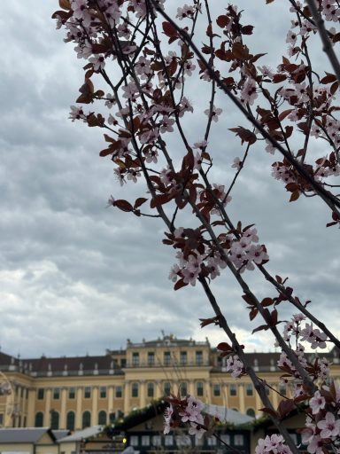 Schloss Schönbrunn