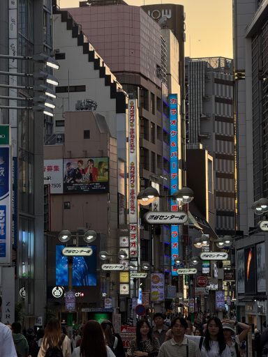 Inokashira-Dori St. Inokashira-Dori St.