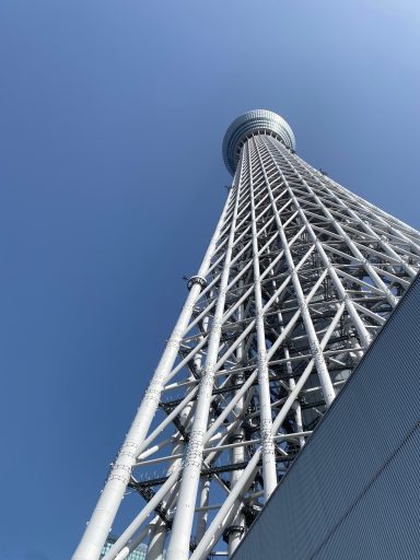 Skytree Skytree